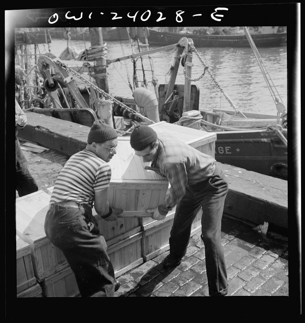 New York, New York. Loaders placing fish that has been taken from boats, boxed, and iced, aboard trailer trucks to be taken…