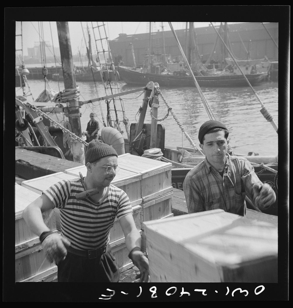 [Untitled photo, possibly related to: New York, New York. Loaders placing fish that has been taken from boats, boxed, and…