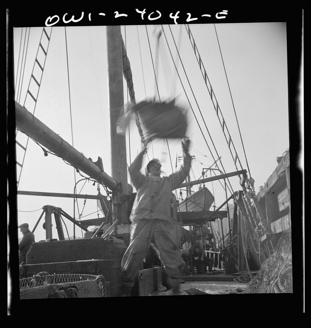 [Untitled photo, possibly related to: New York, New York. Dock stevedores at the Fulton fish market sending up baskets of…