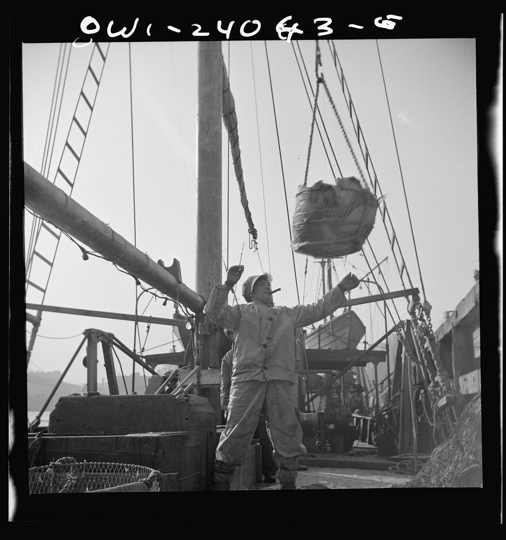 New York, New York. Dock stevedores at the Fulton fish market sending up baskets of fish from the holds of the boats to the…