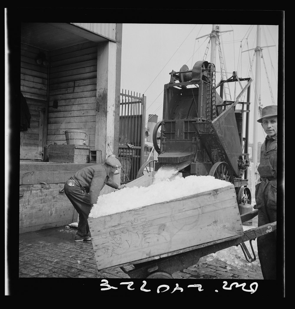 New York, New York. Ice used to store fish in ships. Sourced from the Library of Congress.