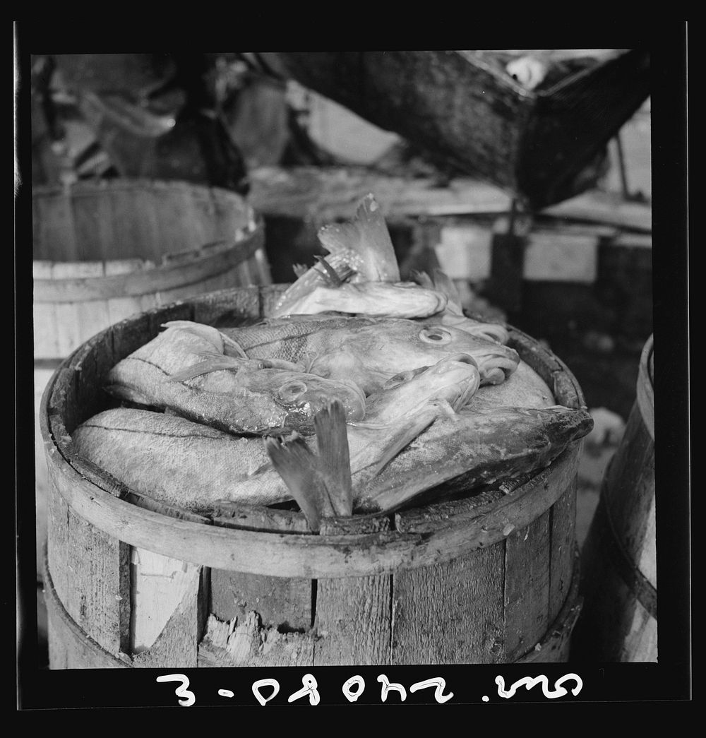 New York, New York. Barrels of codfish. Sourced from the Library of Congress.