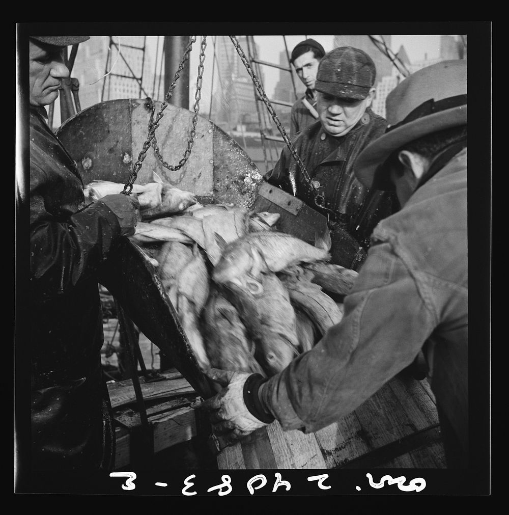 [Untitled photo, possibly related to: New York, New York. New England fishermen unloading fish at Fulton fish market].…