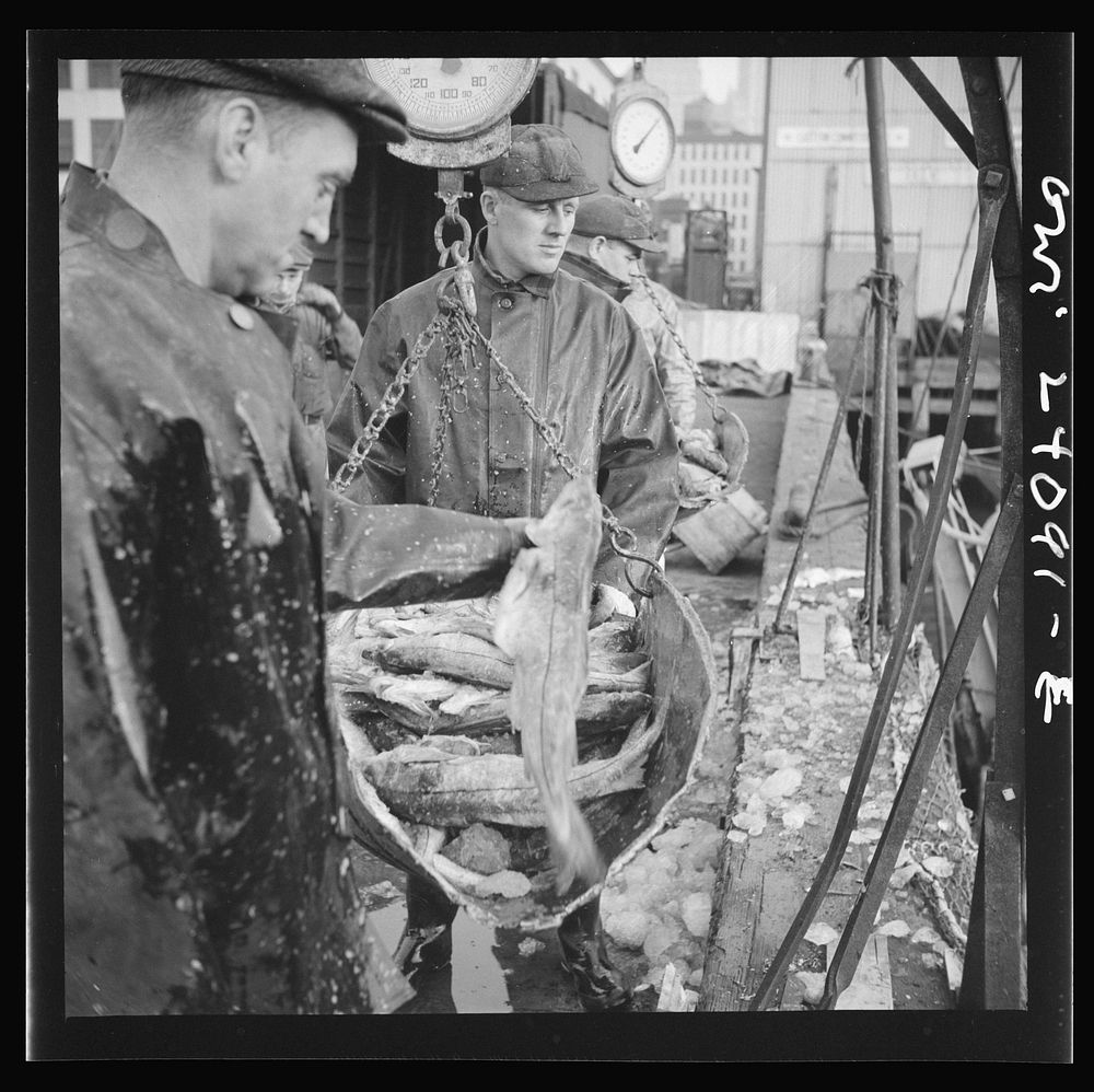 [Untitled photo, possibly related to: New York, New York. New England fishermen unloading fish at the Fulton fish market].…