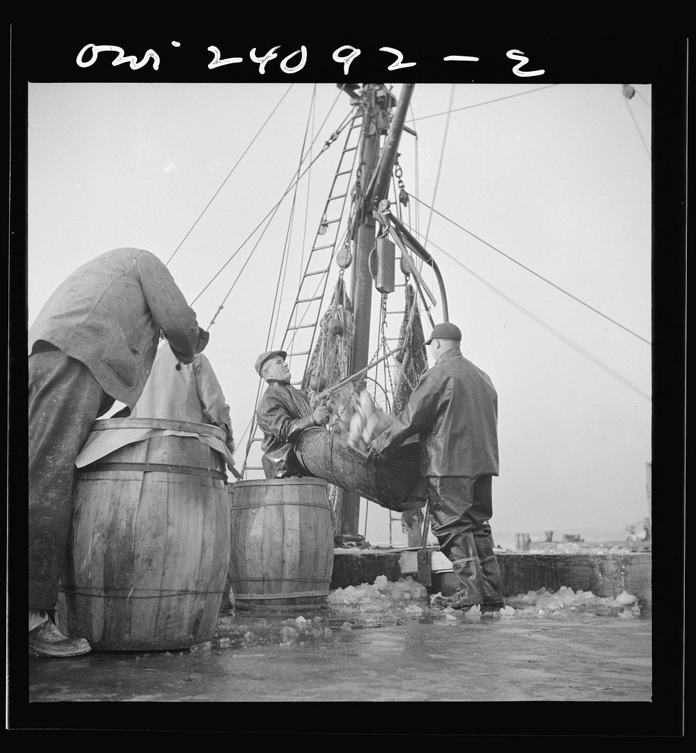 [Untitled photo, possibly related to: New York, New York. New England fishermen unloading fish at the Fulton fish market].…