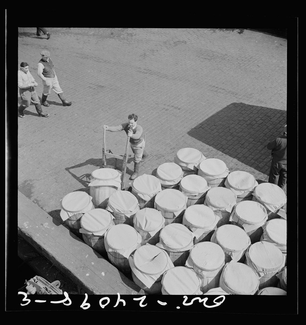 New York, New York. Barrels of fish on the docks at Fulton fish market ready to be shipped to retailers. Sourced from the…