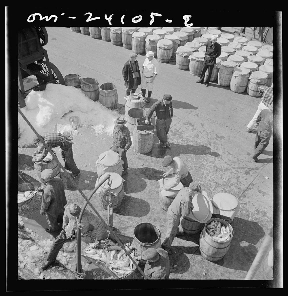 [Untitled photo, possibly related to: New York, New York. Fulton fish market dock stevedores unloading and weighing fish in…