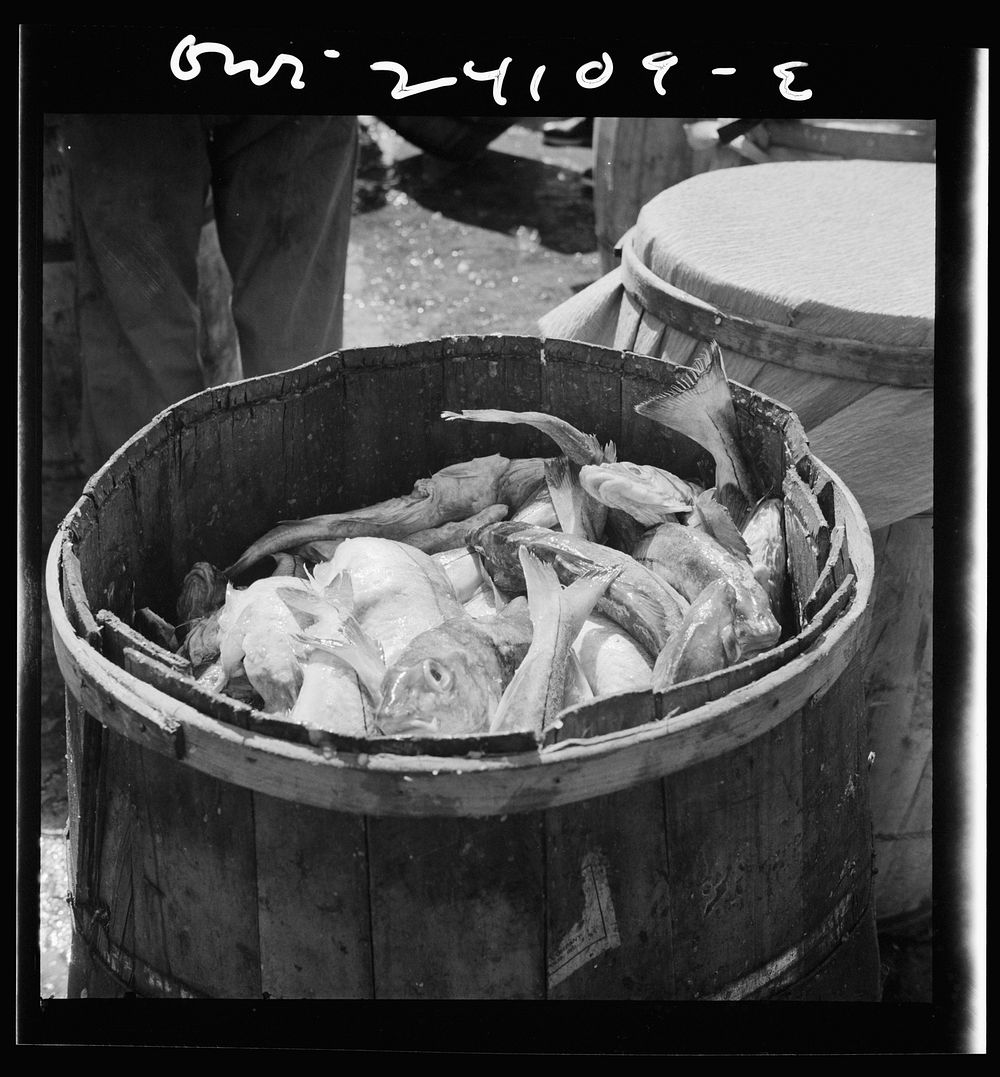 New York, New York. Barrels of codfish. Sourced from the Library of Congress.