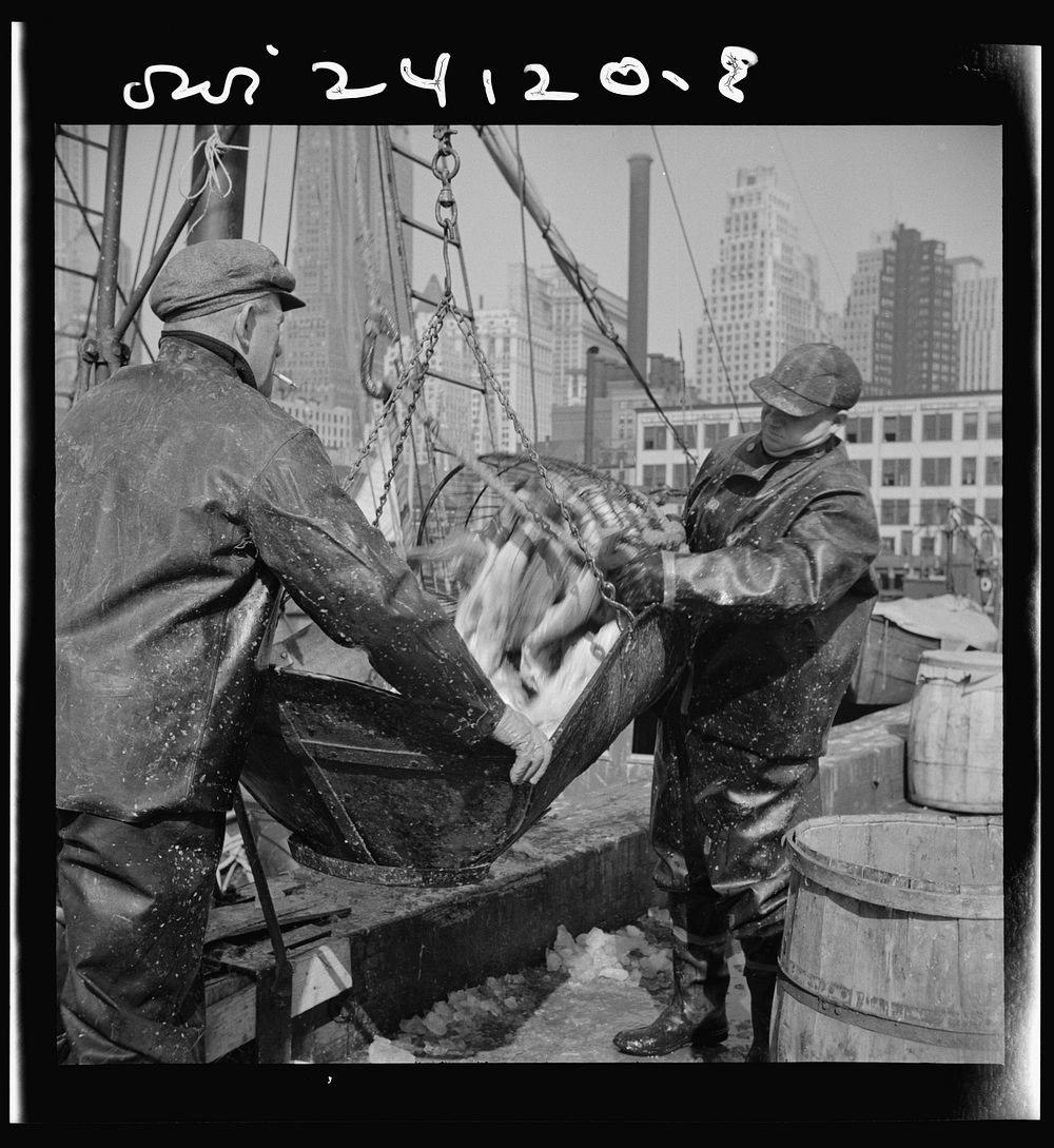 [Untitled photo, possibly related to: New York, New York. Filling a barrel with codfish at the Fulton fish market]. Sourced…
