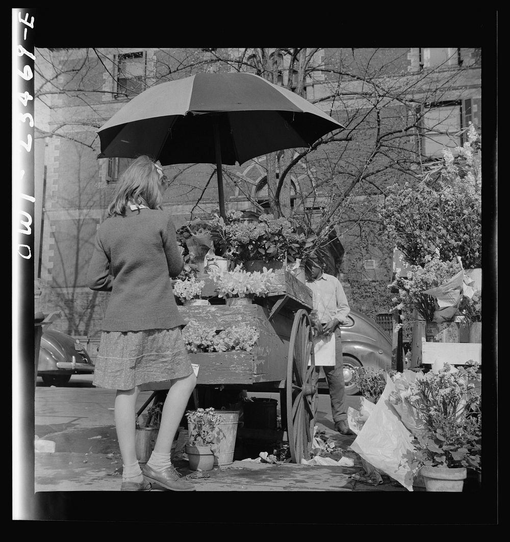 Washington, D.C. Easter flower stand. Sourced from the Library of Congress.