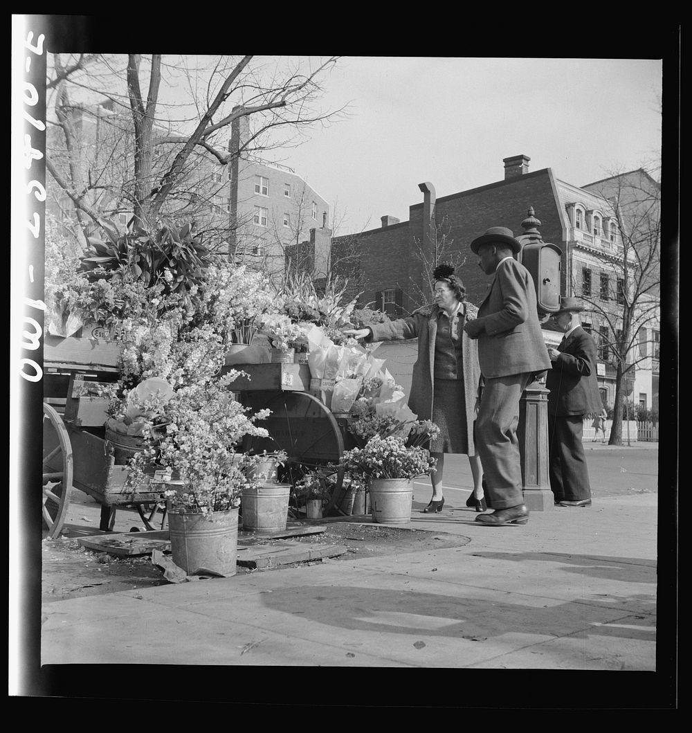 [Untitled photo, possibly related to: Washington, D.C. Easter flower stand]. Sourced from the Library of Congress.