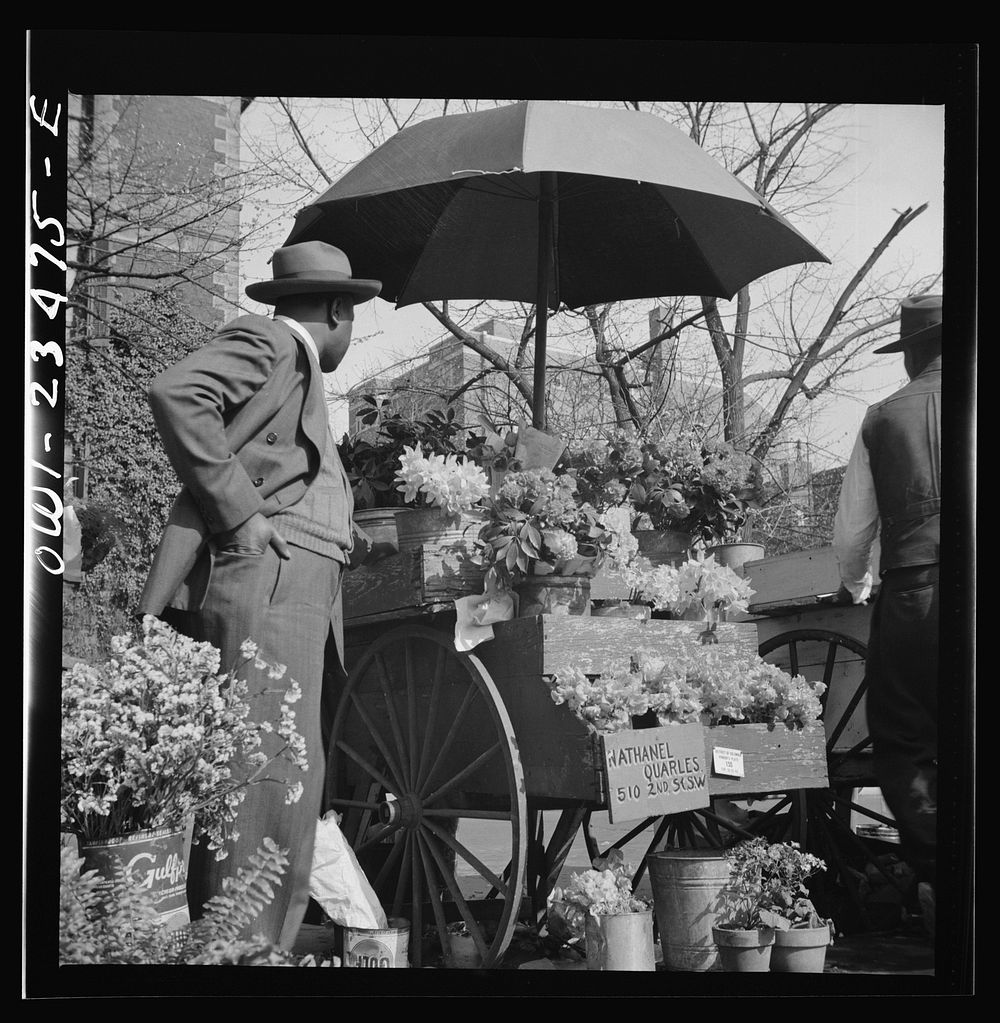 [Untitled photo, possibly related to: Washington, D.C. Easter flower stand]. Sourced from the Library of Congress.