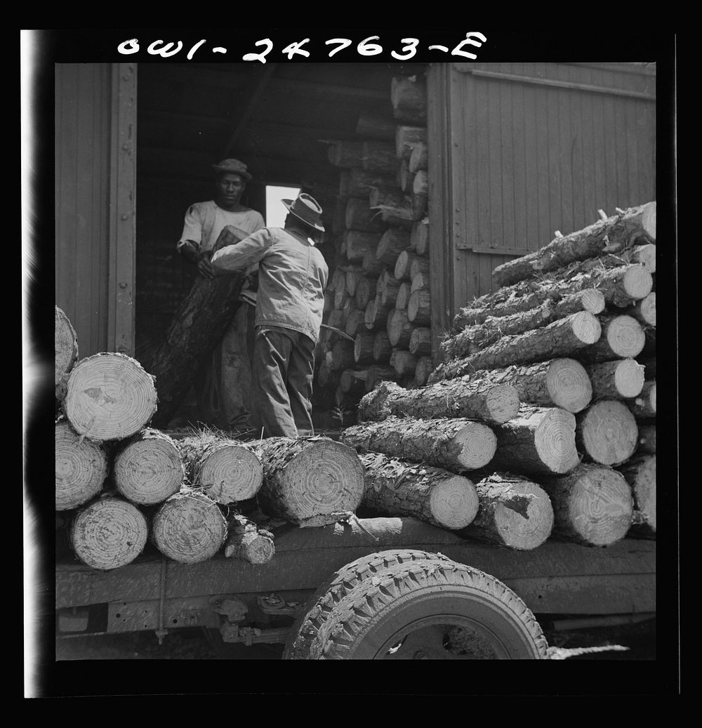 San Augustine, Texas. Loading pulp wood into a freight car. Sourced from the Library of Congress.