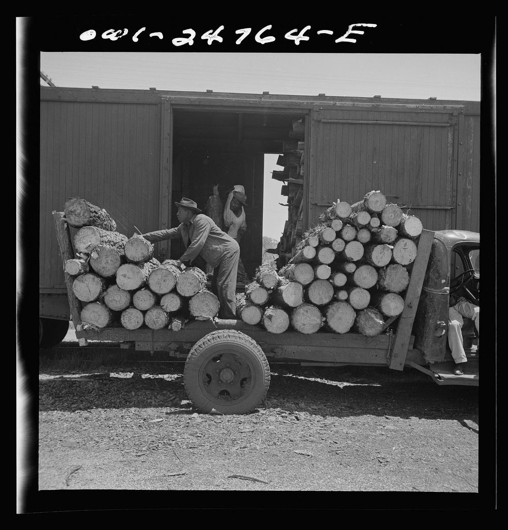 [Untitled photo, possibly related to: San Augustine, Texas. Loading pulp wood into a freight car]. Sourced from the Library…