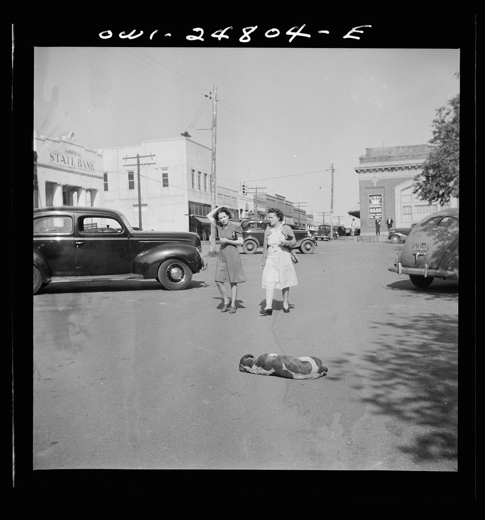 San Augustine, Texas. Dog sleeping on the main street. Sourced from the Library of Congress.