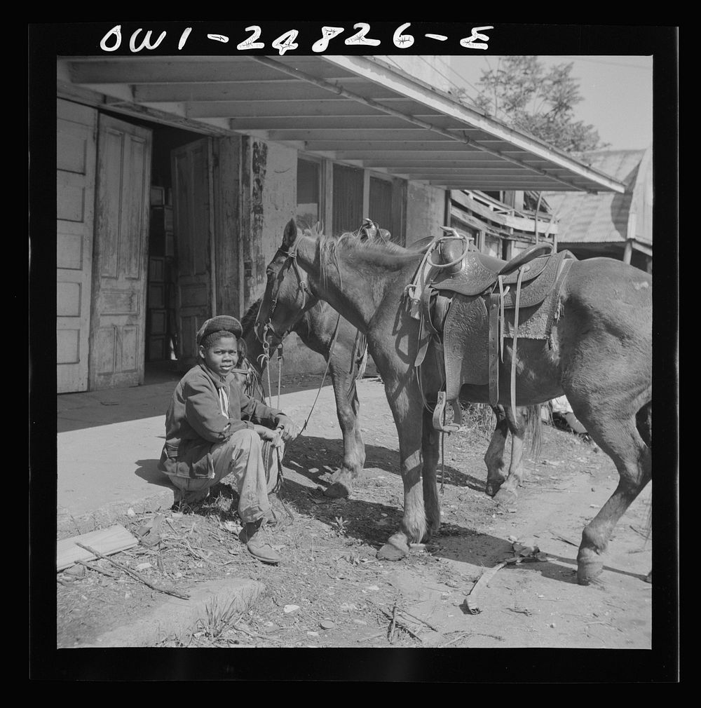 San Augustine, Texas. Colored boy holding a horse for a cattle buyer at the auction. Sourced from the Library of Congress.