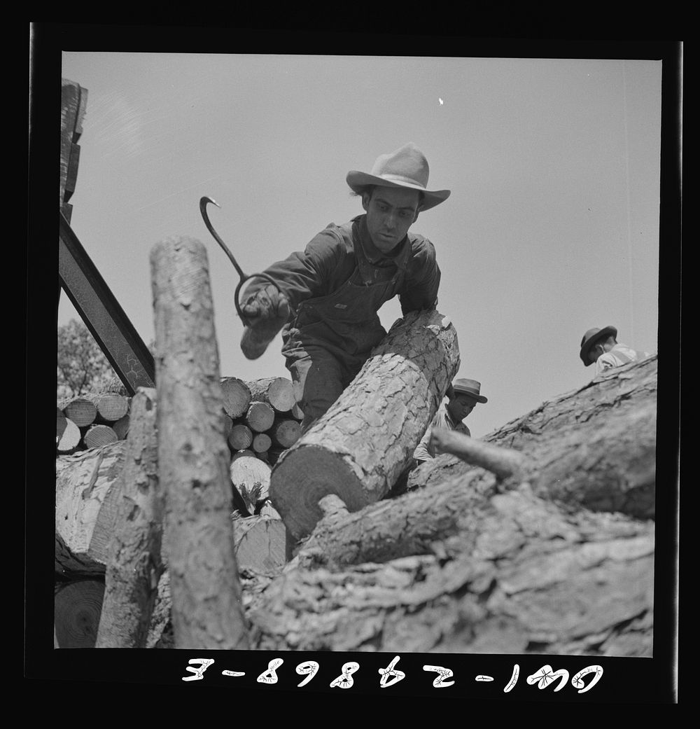 Nacogdoches County, Texas. Loading pulpwood from a truck to a flat car. Sourced from the Library of Congress.