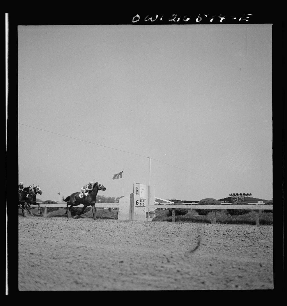 [Untitled photo, possibly related to: Pimlico racetrack, near Baltimore, Maryland. Count Fleet crossing finishing line to…