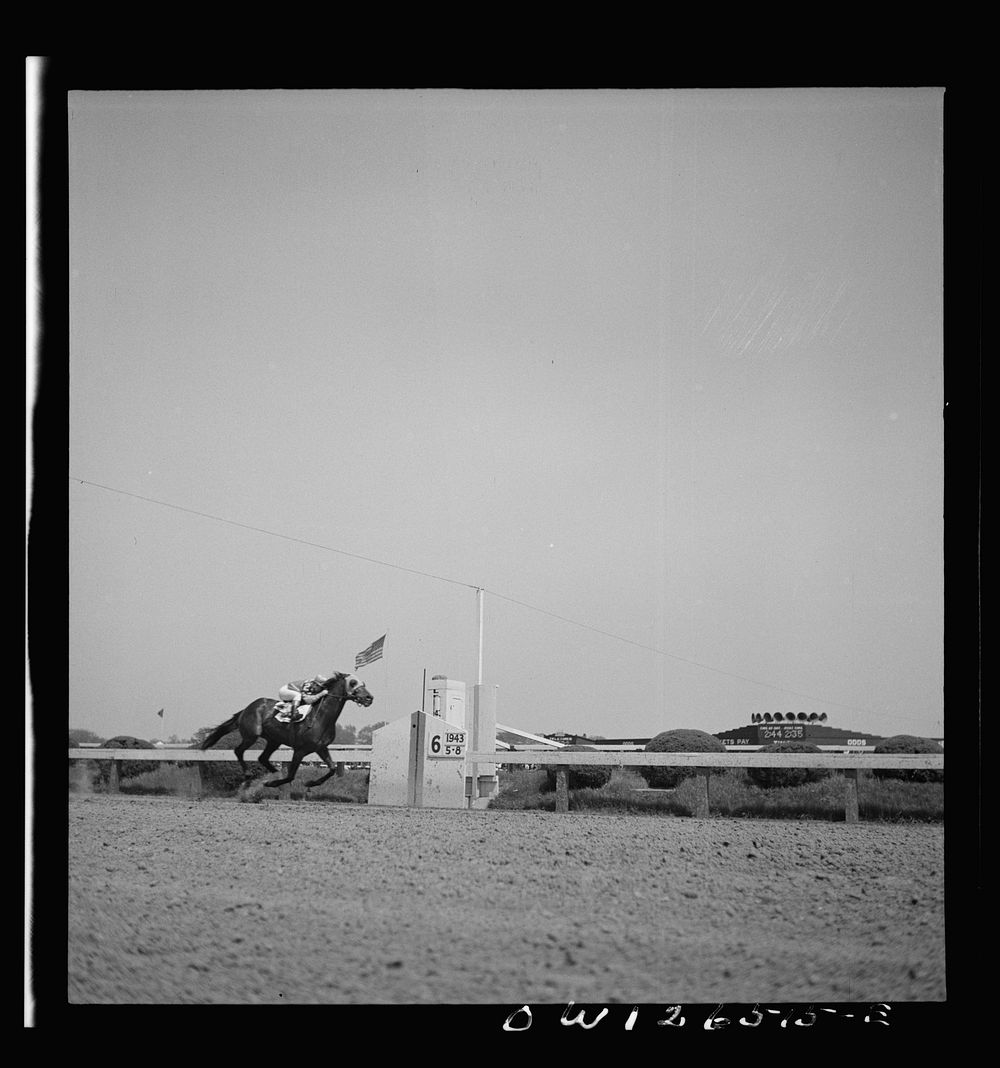 Pimlico racetrack, near Baltimore, Maryland. Count Fleet crossing finishing line to win Preakness Cup. Sourced from the…