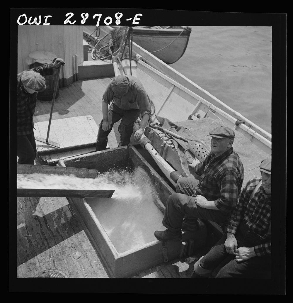 [Untitled photo, possibly related to: New York, New York. Icing the hold of a ship at the Fulton fish market]. Sourced from…