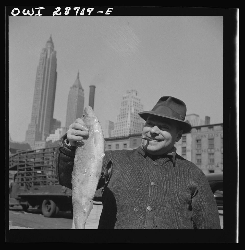 New York, New York. Fisherman holding a large catch at the Fulton fish market. Sourced from the Library of Congress.