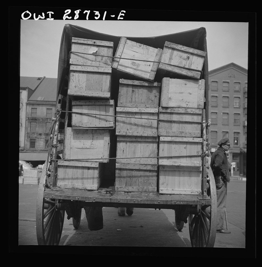 New York, New York. Shipping fish by horse-drawn vehicle from Fulton fish market. Sourced from the Library of Congress.