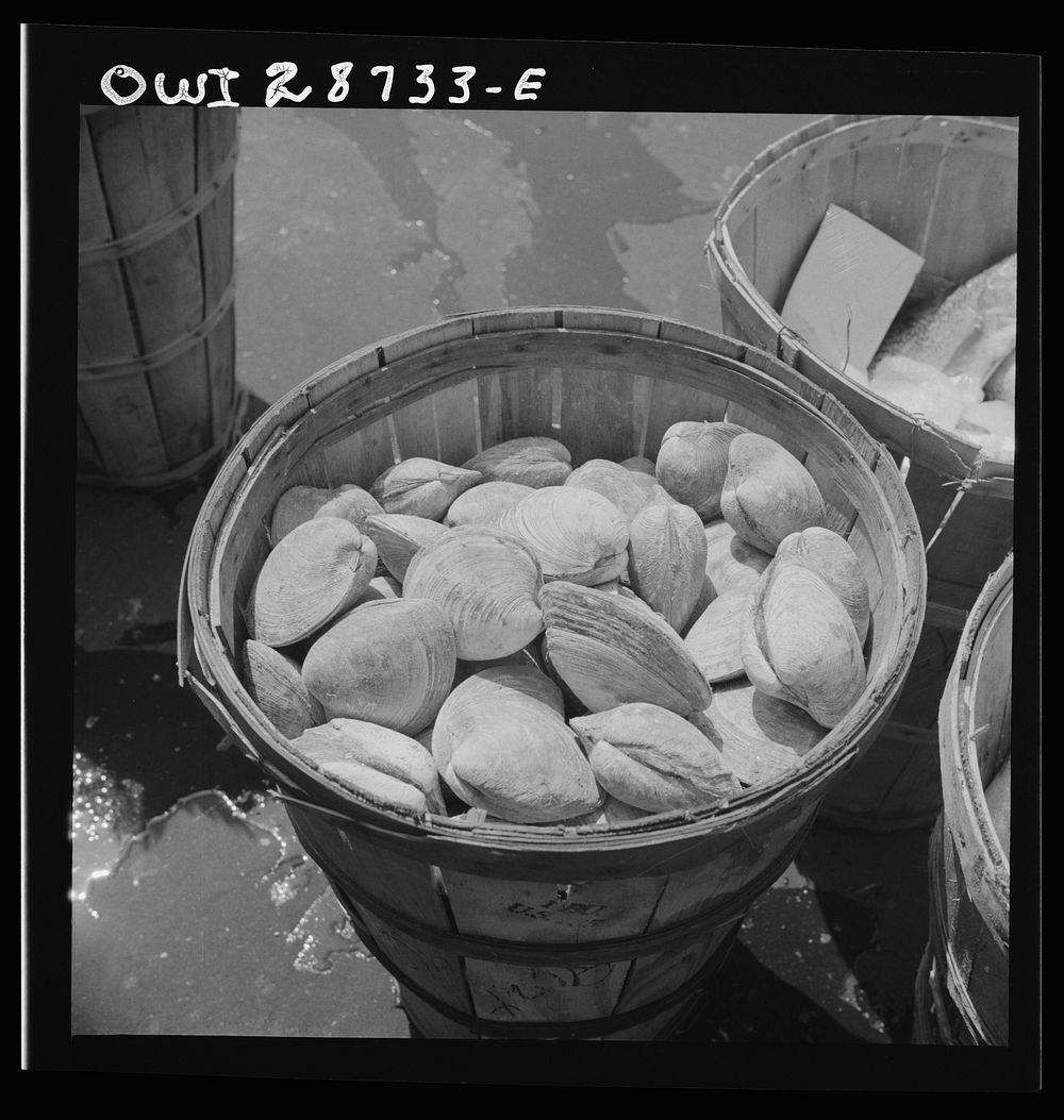 New York, New York. Baskets of seafood at the Fulton fish market. Sourced from the Library of Congress.