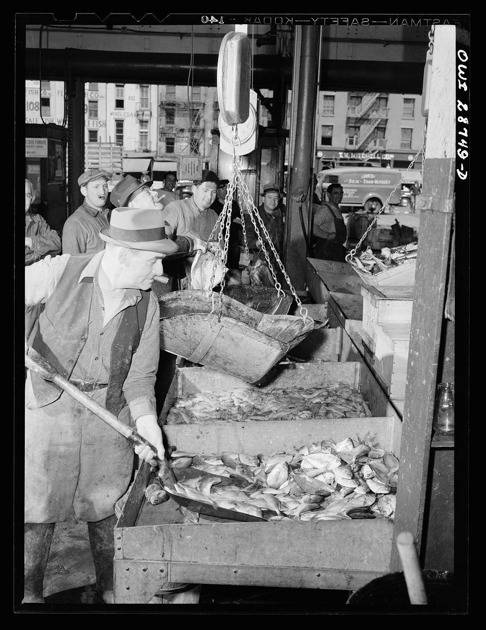 New York, New York. A "hooker" shoveling redfish onto the scales in the Fulton fish market. Sourced from the Library of…