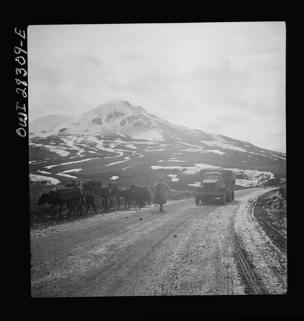 Somewhere in the Persian corridor. A United States Army truck convoy carrying supplies for the aid of Russia. An Iranian…
