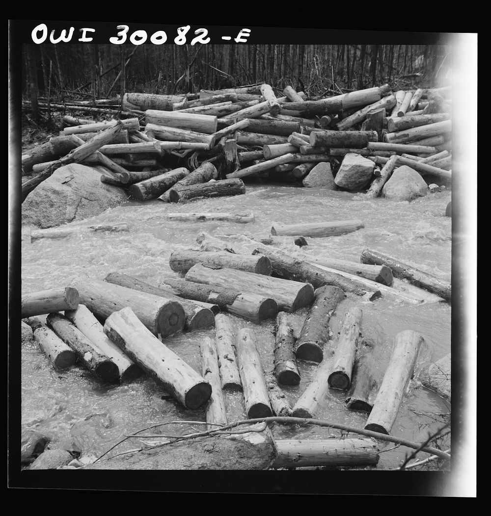 [Untitled photo, possibly related to: Spring pulpwood drive on the Brown Company timber holdings in Maine. A jam is forming…