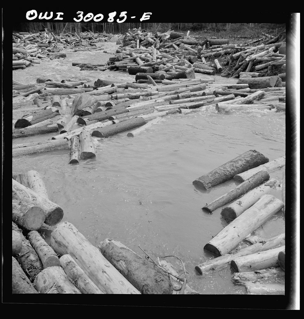 Spring pulpwood drive on the Brown Company timber holdings in Maine. A jam is forming here where a few logs were snagged on…