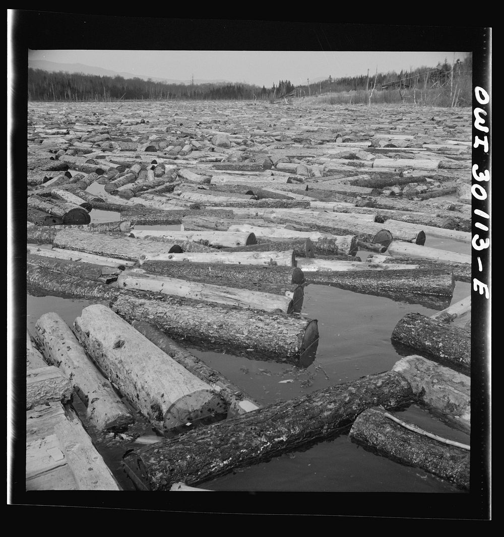 Spring pulpwood drive on the Brown Company timber holdings in Maine. Pulpwood accumulated in the Kennebago River waiting to…