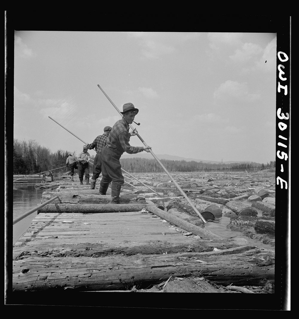 Spring pulpwood drive on the Brown Company timber holdings in Maine. Pikemen keep the logs moving down toward the sluiceway…