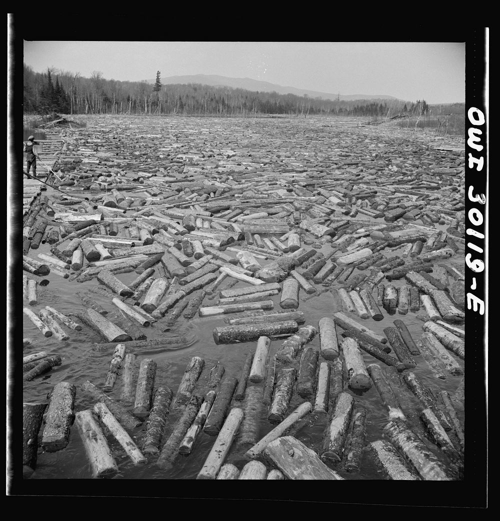 [Untitled photo, possibly related to: Spring pulpwood drive on the Brown Company timber holdings in Maine. Pikemen keep the…