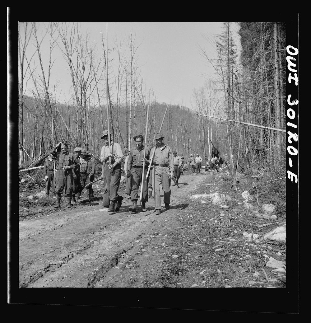 Spring pulpwood drive on the Brown Company timber holdings in Maine. Woodsmen returning to work after lunch on the road.…