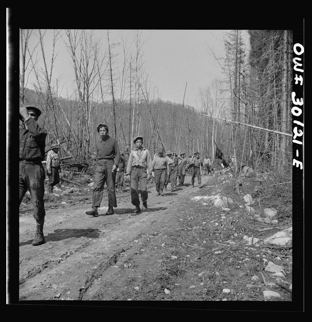 [Untitled photo, possibly related to: Spring pulpwood drive on the Brown Company timber holdings in Maine. Woodsmen…