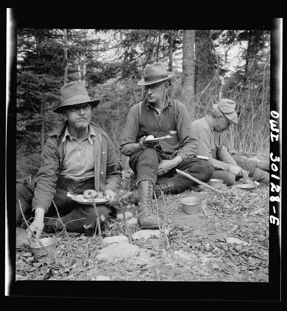 Spring pulpwood drive on the Brown Company timber holdings in Maine. Woodsmen appreciate the quality and quantity of the…