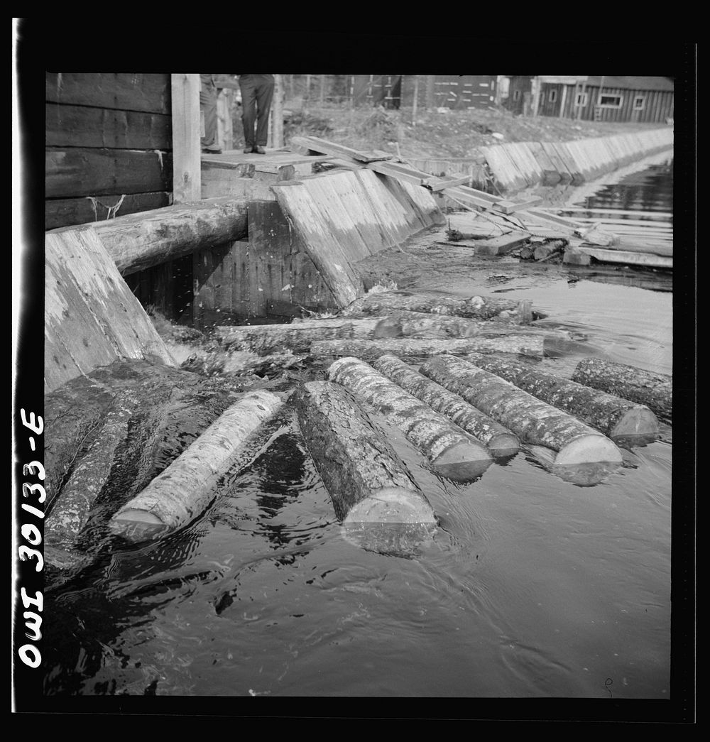 Spring pulpwood drive on the Brown Company timber holdings in Maine. Pulpwood sluicing through the dam at Long Pond. Sourced…
