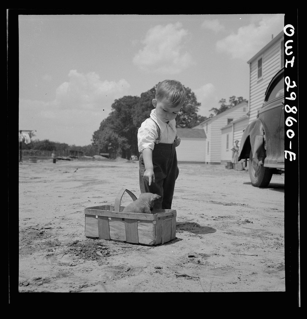 Point Pleasant, West Virginia. A small child with a puppy. Sourced from the Library of Congress.