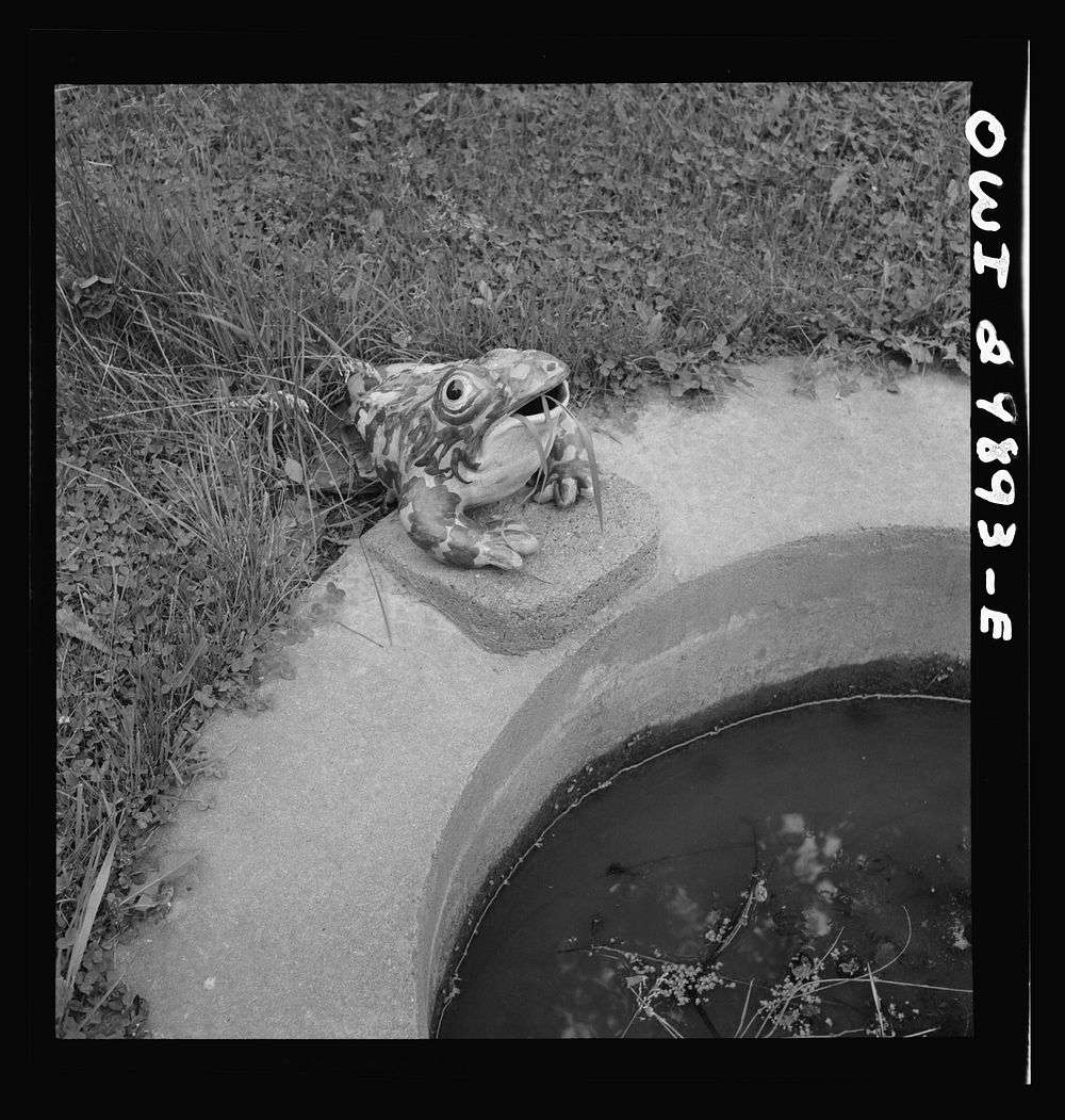 Point Pleasant (vicinity), West Virginia. Porcelain frog on lawn of retired riverboat pilot. Sourced from the Library of…