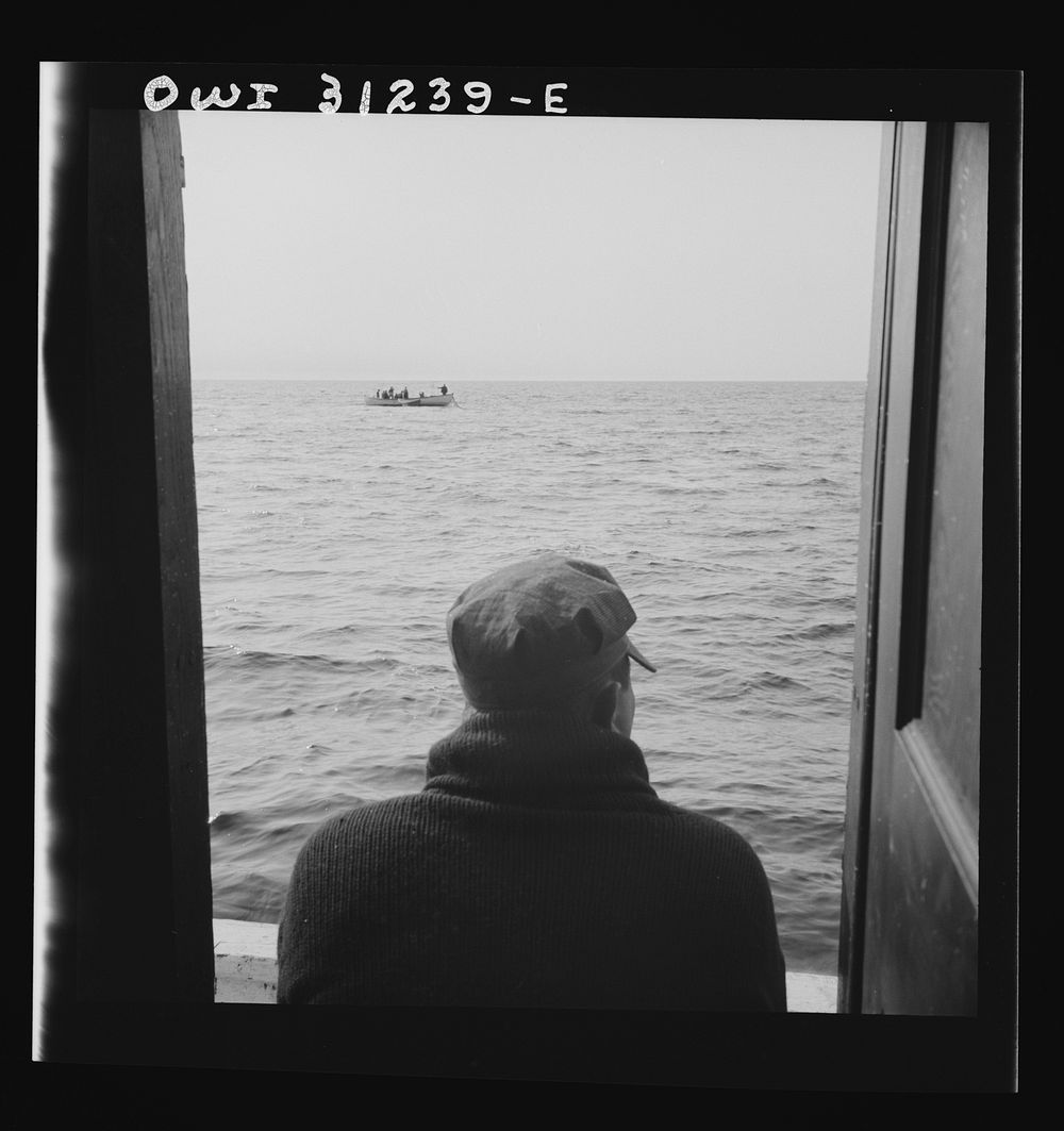 On board the fishing boat Alden, out of Gloucester, Massachusetts. The dories pulling in their nets, seen from the mother…