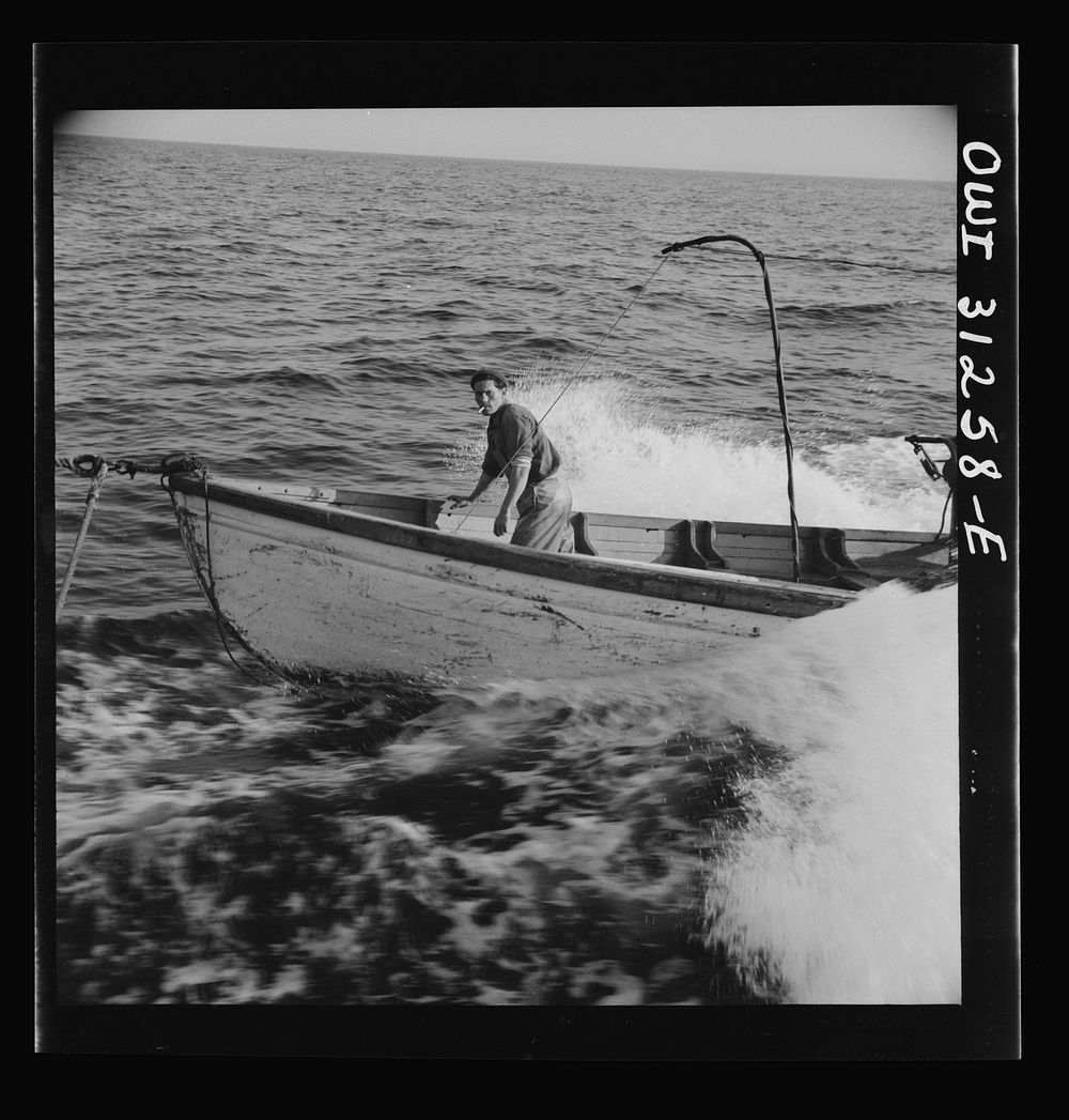 Giacomo Frusteri in the prow of the seining boat as it races to encircle a school of mackerel. Gloucester, Massachusetts.…
