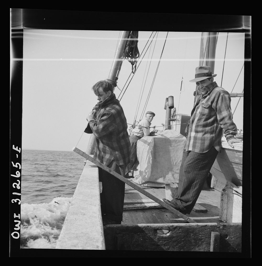 [Untitled photo, possibly related to: On board the fishing boat Alden, out of Gloucester, Massachusetts. Part of the crew…