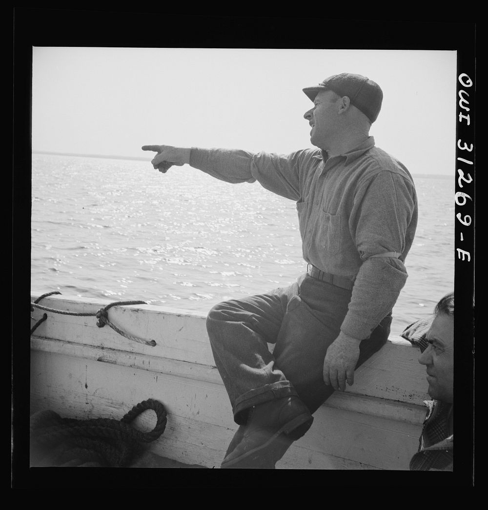 On board the fishing boat Alden out of Gloucester, Massachusetts. Frank Mineo, owner and skipper, shouting orders to his…