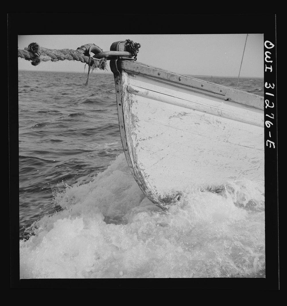 On board the fishing boat Alden out of Gloucester, Massachusetts. The bow of a dory being towed by the Alden. Sourced from…