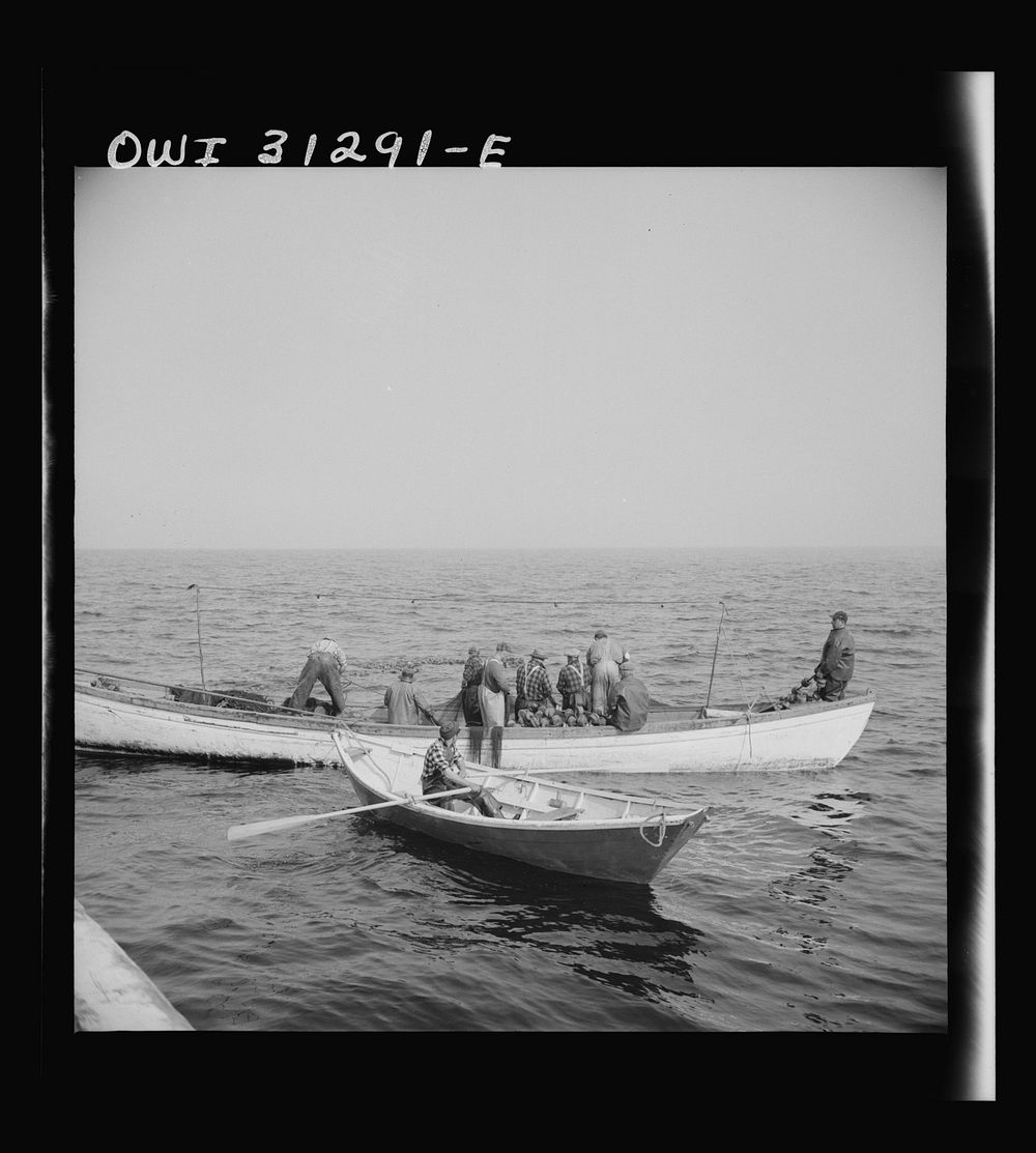 On board the fishing boat Alden, out of Gloucester, Massachusetts. Gloucester fishermen in their dories at sea. Sourced from…