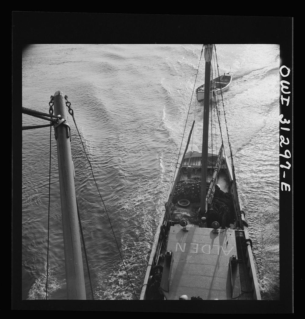 On board the fishing boat Alden out of Gloucester, Massachusetts. A scene at sea showing the mother ship towing a small…