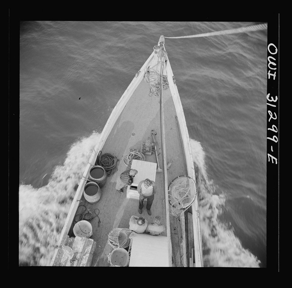 On board the fishin boat Alden out of Gloucester, Massachusetts. The bow of the Alden nosing out to the sea early in the…