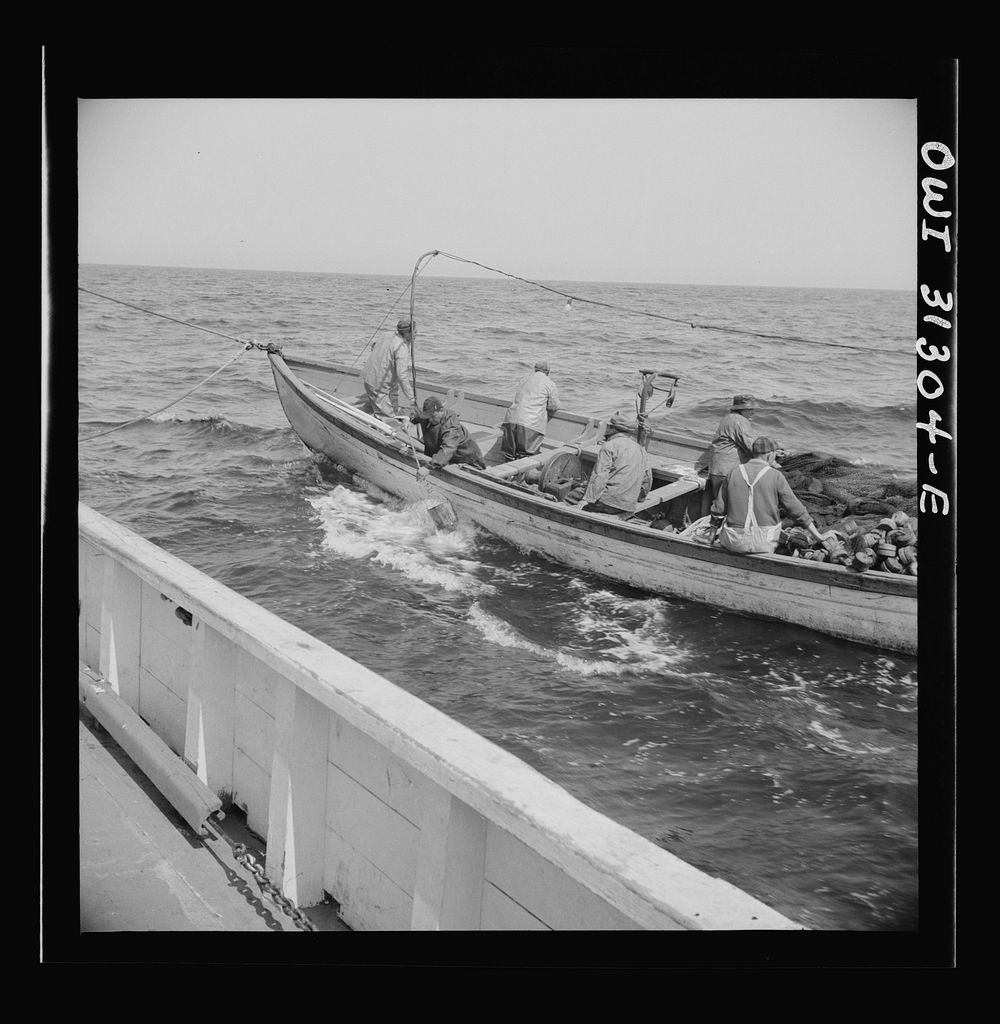 On board the fishing boat Alden, out of Gloucester, Massachusetts. Fishermen chasing a school of mackerel. Sourced from the…