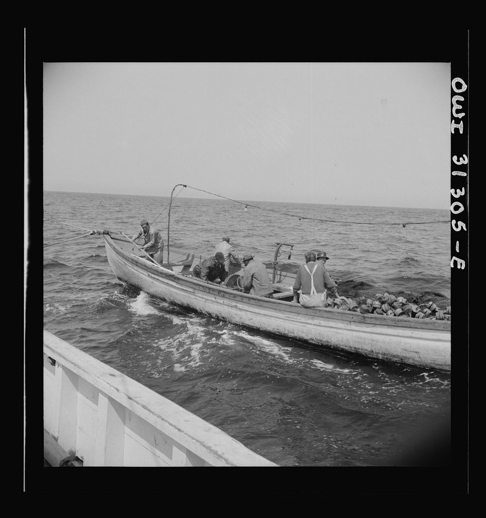 On board the fishing boat Alden, out of Gloucester, Massachusetts. Fishermen chasing a school of mackerel. Sourced from the…